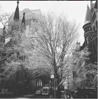 Historical Brooklyn Heights